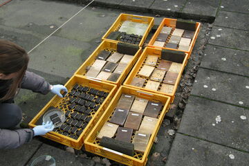 Houten proefstukken met en zonder biofinish. Foto | Martin Meijer