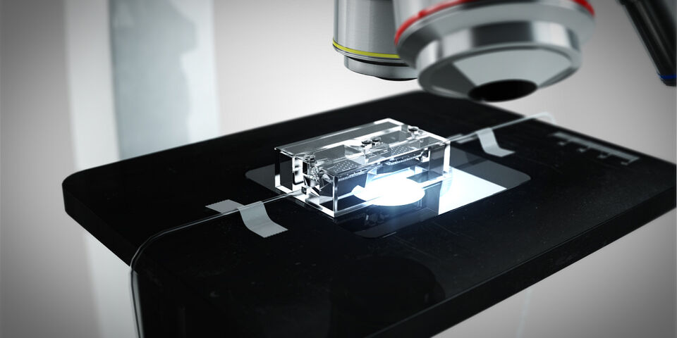 Een 'cancer on a chip' microsysteem onder de microscoop. Foto | Animation Studio van het Institute for Complex Molecular Systems