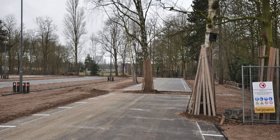 Beschermde bomen op het parkeerterrein, die volgens Trefpunt Groen vanwege gestort puin toch zullen afsterven.