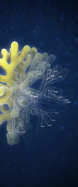 Een vereenvoudigd model van een dendrimeer (geel) met de moleculaire structuur waarop deze gebaseerd is. Illustratie | ICMS Studio