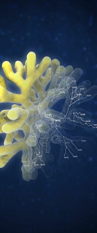 A simple model of a dendrimer (in yellow) with the underlying molecular structure. Illustration | ICMS Studio